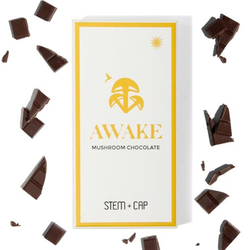 Awake Mushroom Chocolate Awake Mushroom Chocolate
