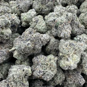 THE LEMON CHERRY GELATO | 1/4 LB Premium Flower | Loopy Sanchez