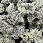 Ashy Crack – 1/4 LB | Bred by 42